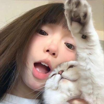 老虎